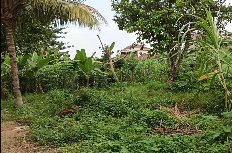 dijual tanah 4500 m2 unila rajabasa bandar lampung