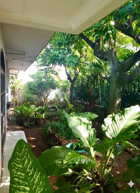 Rumah standard siap huni & Lokasi Strategis di Jakarta Selatan Bintaro