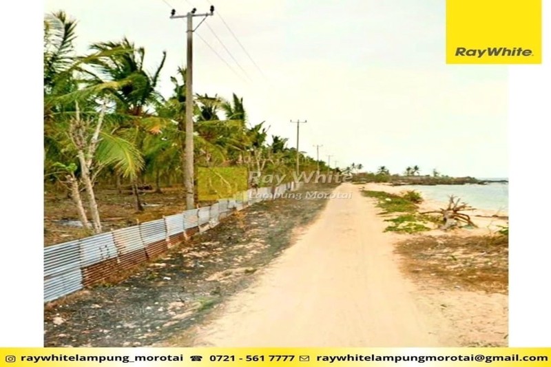 Jual Tanah Tepi Pantai 