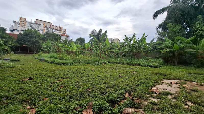 Tanah 3849 m2 Bonus Bangunan Cocok Untuk Padel di Jalan Raya Besar Jalur Busway JakSel