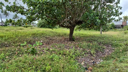 Dijual kavling Pangandaran Near Kampung Turis