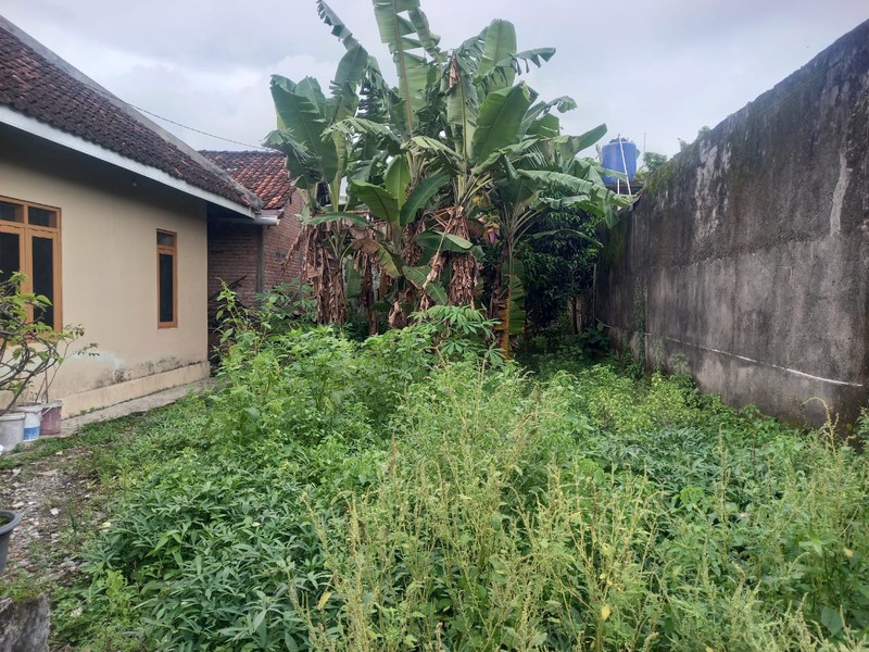 Dijual Tanah Kavling Strategis di Sleman Dekat Kampus dan Cluster Eksklusif