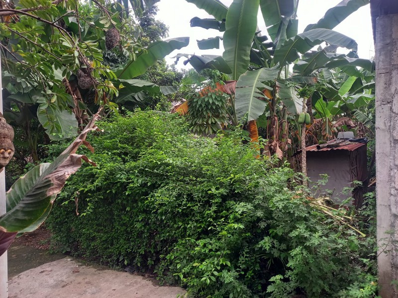 Dijual Tanah Kavling Strategis di Sleman Dekat Kampus dan Cluster Eksklusif