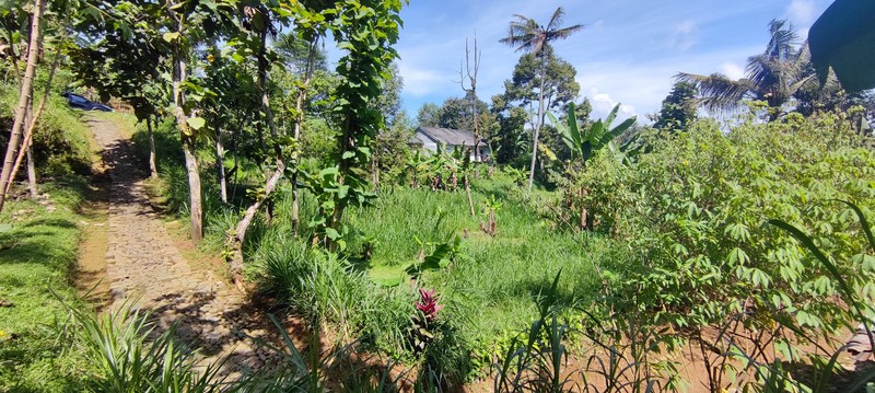 Kavling Siap Bangun di Dusun Talok, Tawangmangu - Udara Sejuk & View Pegunungan