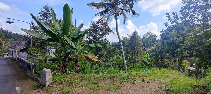 Kavling Siap Bangun di Dusun Talok, Tawangmangu - Udara Sejuk & View Pegunungan