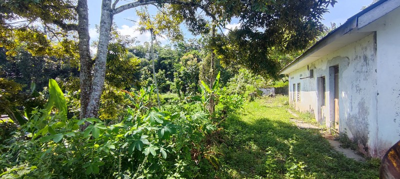 Kavling Siap Bangun di Dusun Talok, Tawangmangu - Udara Sejuk & View Pegunungan