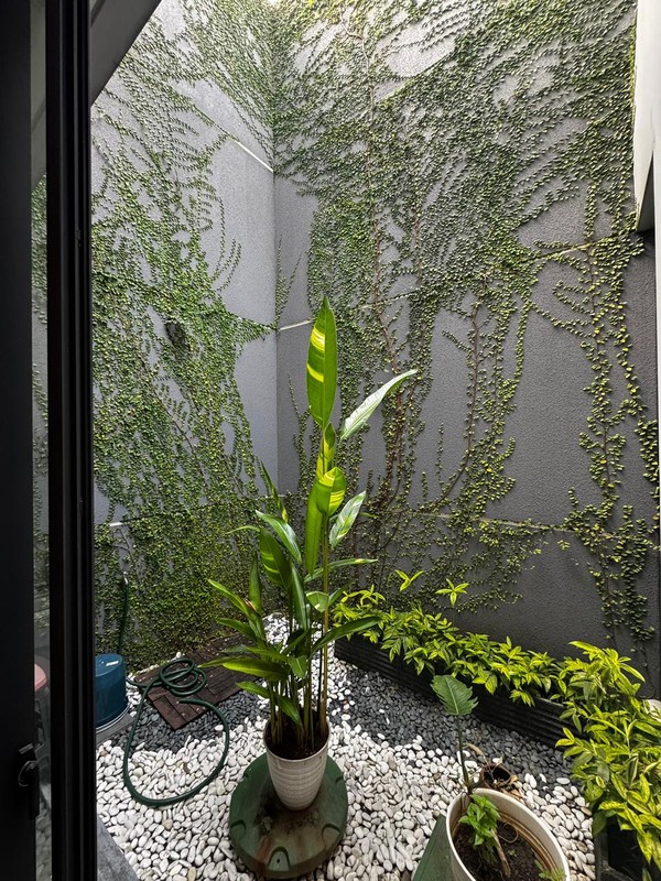 Rumah Bagus Di Discovery Altezza Bintaro Jaya Sektor 9