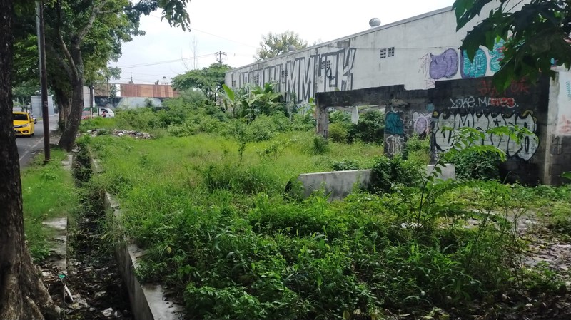 Tanah Sangat Strategis 703 Meter Persegi Di Tirtonirmolo, Kasihan, Bantul