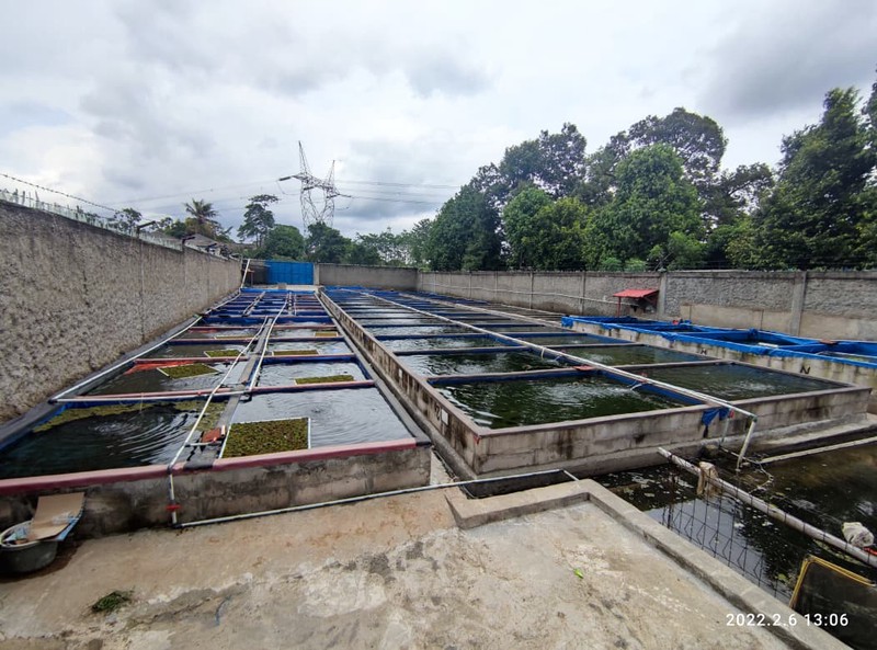 Tanah di Ciseeng Bogor Jawa Barat