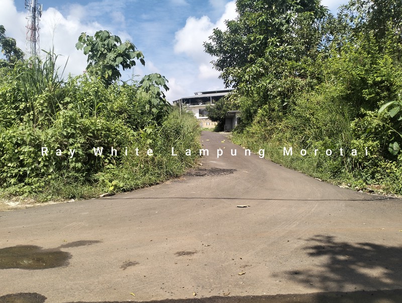 Dijual Tanah Jalan Pramuka LT 1154 meter harga terjangkau