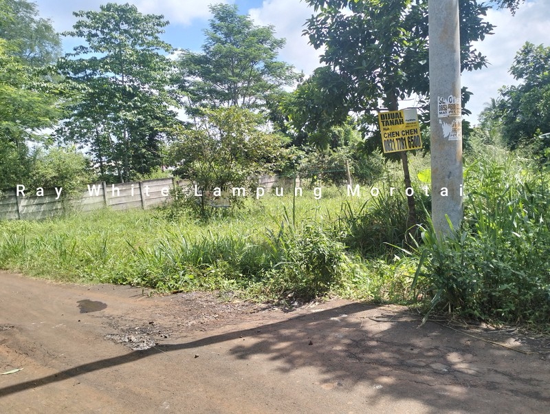 Dijual Tanah Jalan Pramuka LT 1154 meter harga terjangkau