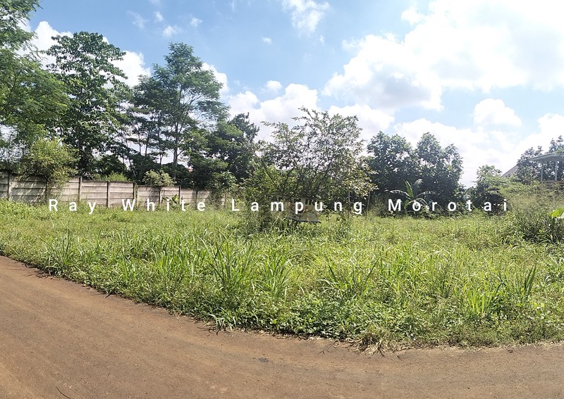 Dijual Tanah Jalan Pramuka LT 1154 meter harga terjangkau