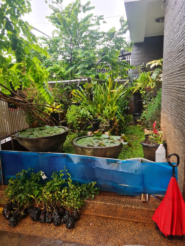 Rumah Siap Huni dan Terawat di Bintaro Jaya Sektor  2