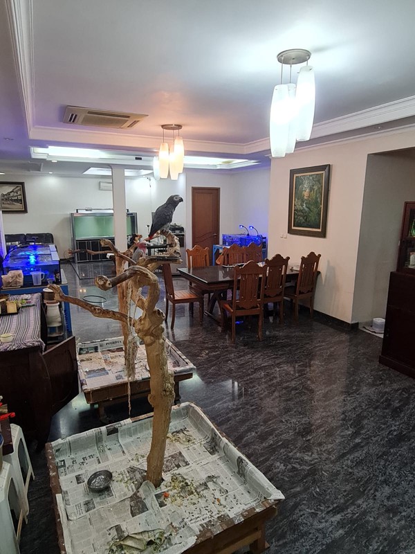 Rumah Siap Huni dan Terawat di Bintaro Jaya Sektor  2