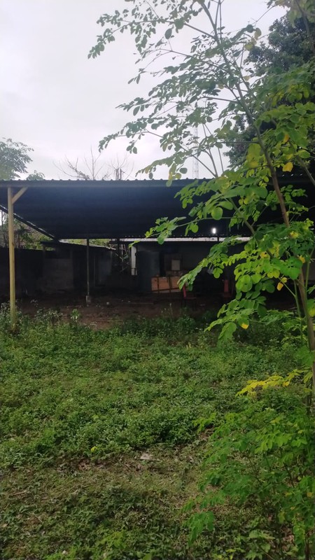 Rumah Tinggal  Luas 1314 meter persegi di Tawang Sari, Klaten , Cocok untuk Homestay atau Restoran.