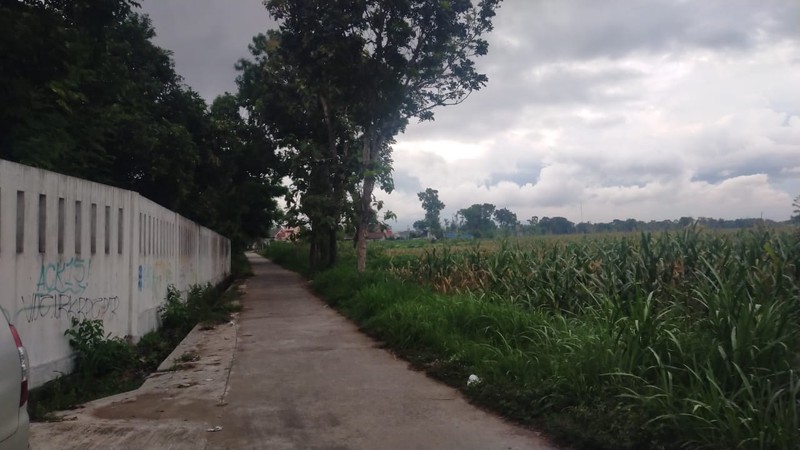 Rumah Tinggal  Luas 1314 meter persegi di Tawang Sari, Klaten , Cocok untuk Homestay atau Restoran.