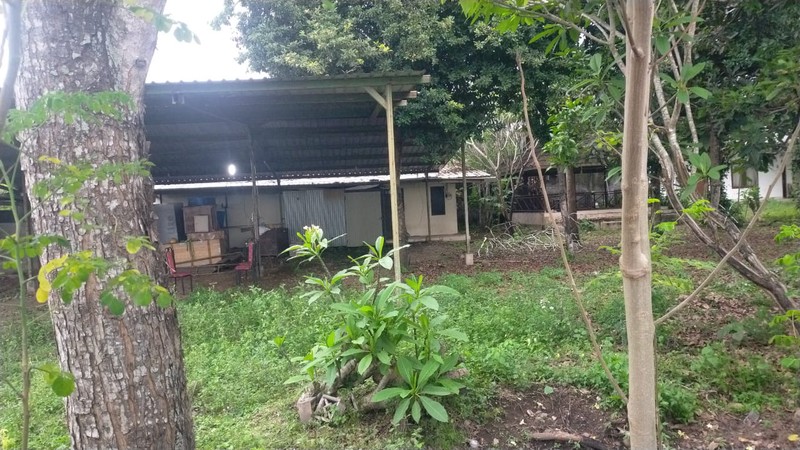 Rumah Tinggal  Luas 1314 meter persegi di Tawang Sari, Klaten , Cocok untuk Homestay atau Restoran.