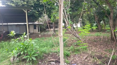 Rumah Tinggal  Luas 1314 meter persegi di Tawang Sari, Klaten , Cocok untuk Homestay atau Restoran.