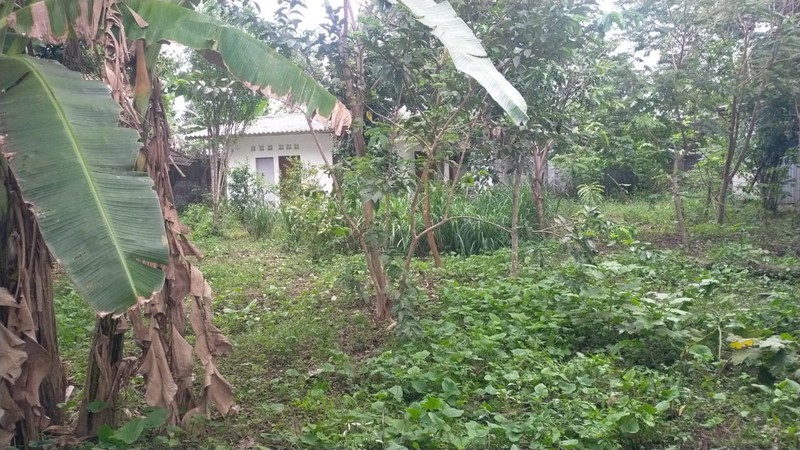 Rumah Tinggal  Luas 1314 meter persegi di Tawang Sari, Klaten , Cocok untuk Homestay atau Restoran.