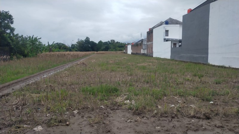 Tanah Kavling Siap Bangun  2575 meter persegi di Tirtomartani, Kalasan, Sleman