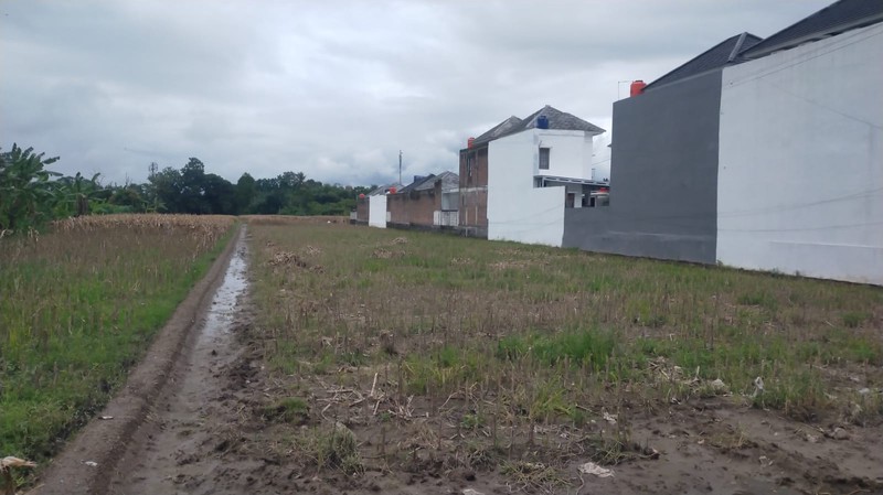 Tanah Kavling Siap Bangun  2575 meter persegi di Tirtomartani, Kalasan, Sleman