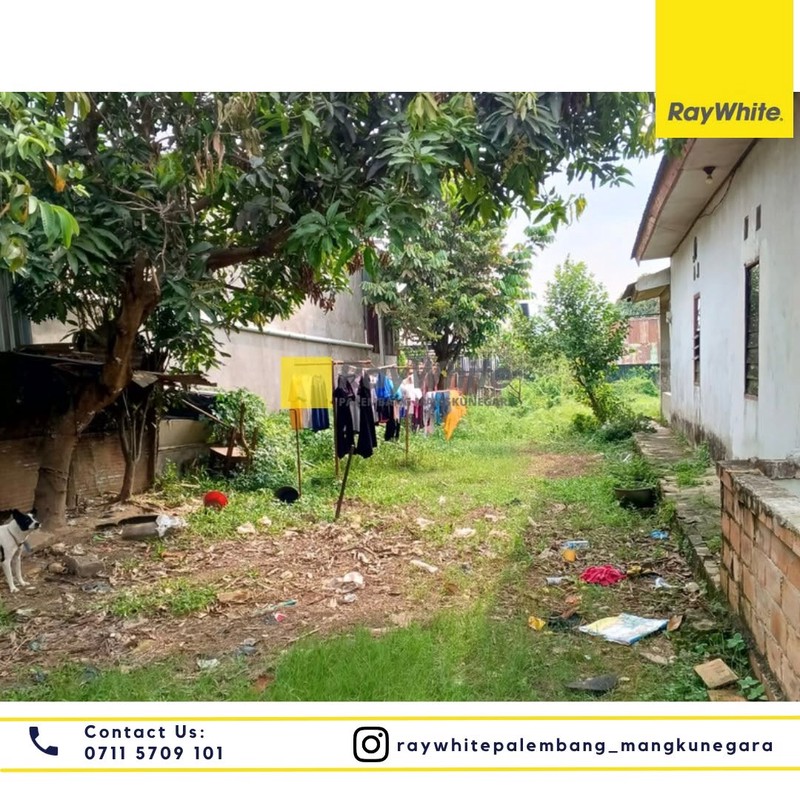 Dijual Tanah + Bangunan Rumah 