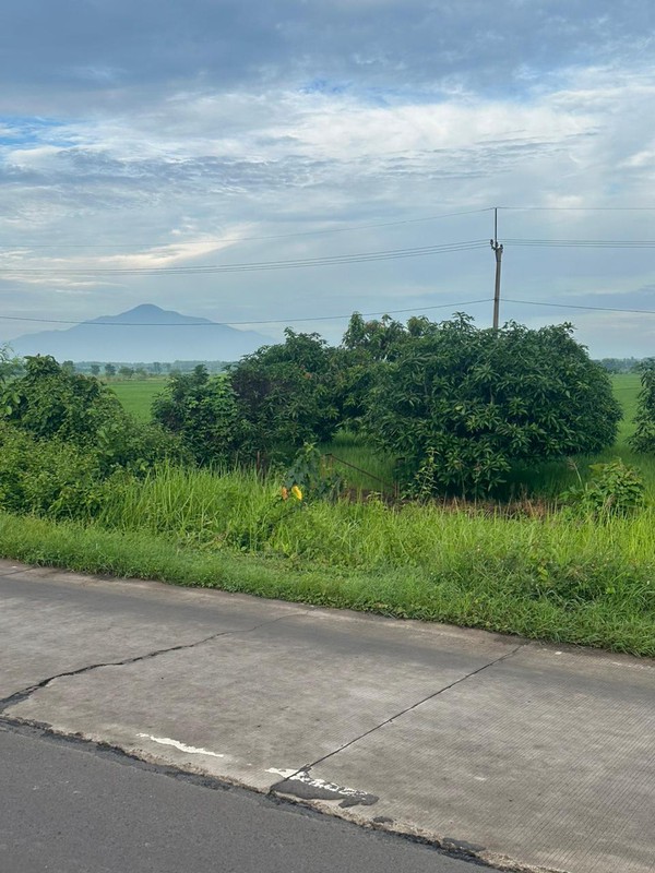 Dijual Tanah Komersil Near  Airport International Kertajati