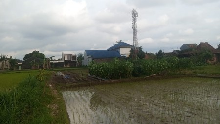 Tanah Pekarangan Strategis di Maguwogarjo Depok, Sleman, Dekat Kampus dan RS