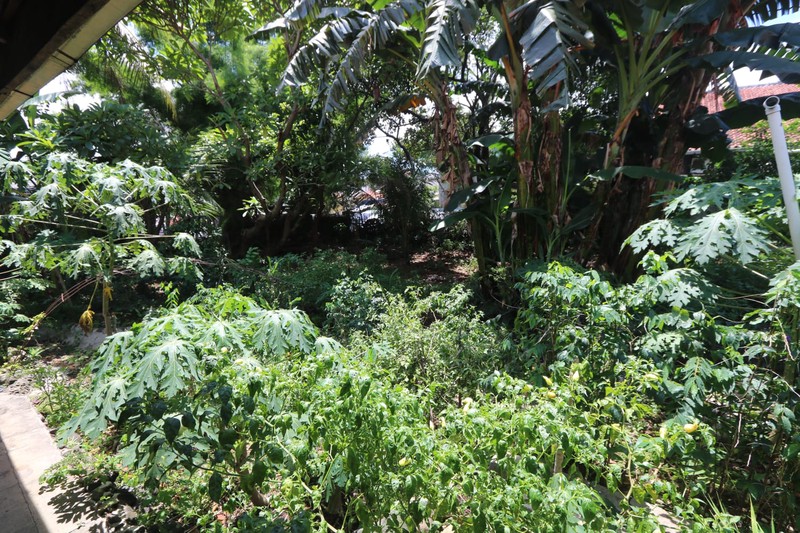 DIJUAL RUMAH KLASIK HITUNG TANAH DAERAH SLIPI KEMANGGISAN DEKAT KEBON JERUK / A classic & strategic house FOR SALE