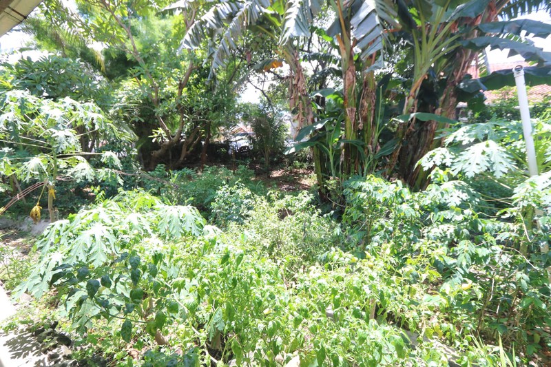 DIJUAL RUMAH KLASIK HITUNG TANAH DAERAH SLIPI KEMANGGISAN DEKAT KEBON JERUK / A classic & strategic house FOR SALE