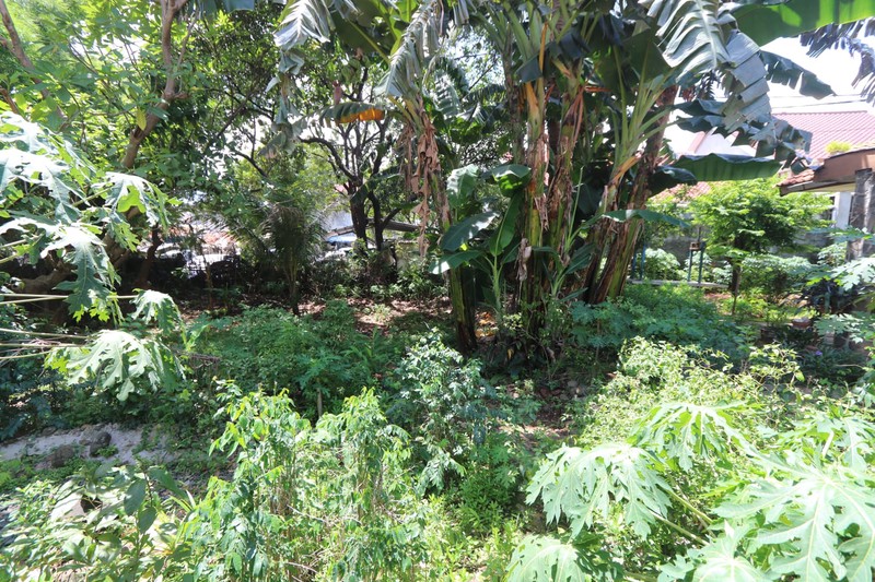 DIJUAL RUMAH KLASIK HITUNG TANAH DAERAH SLIPI KEMANGGISAN DEKAT KEBON JERUK / A classic & strategic house FOR SALE