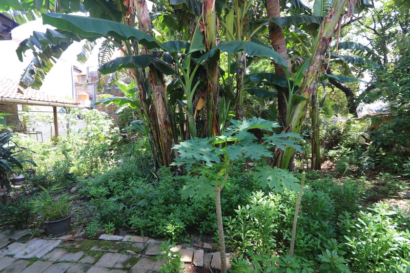 DIJUAL RUMAH KLASIK HITUNG TANAH DAERAH SLIPI KEMANGGISAN DEKAT KEBON JERUK / A classic & strategic house FOR SALE