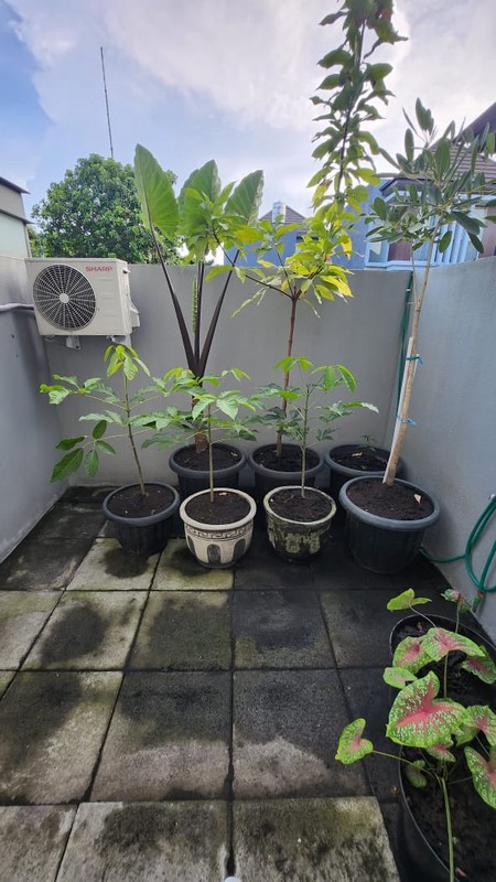 MURAH Dijual Rumah Semi Furnish   Dua Lantai  Perumahan Graha Natura  Sambikerep Surabaya