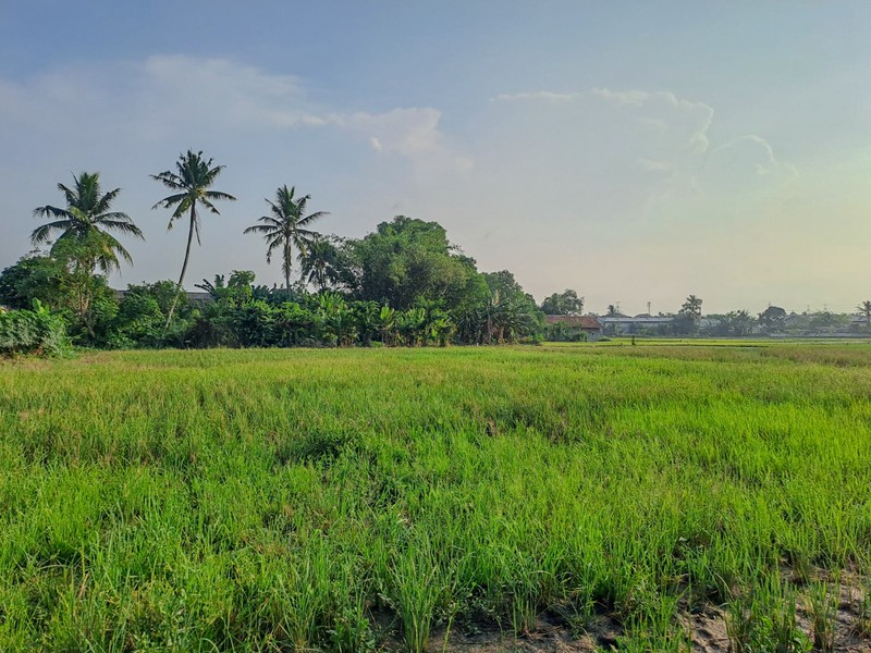 Tanah Strategis di Serang Banten dekat Kawasan Industri Balaraja