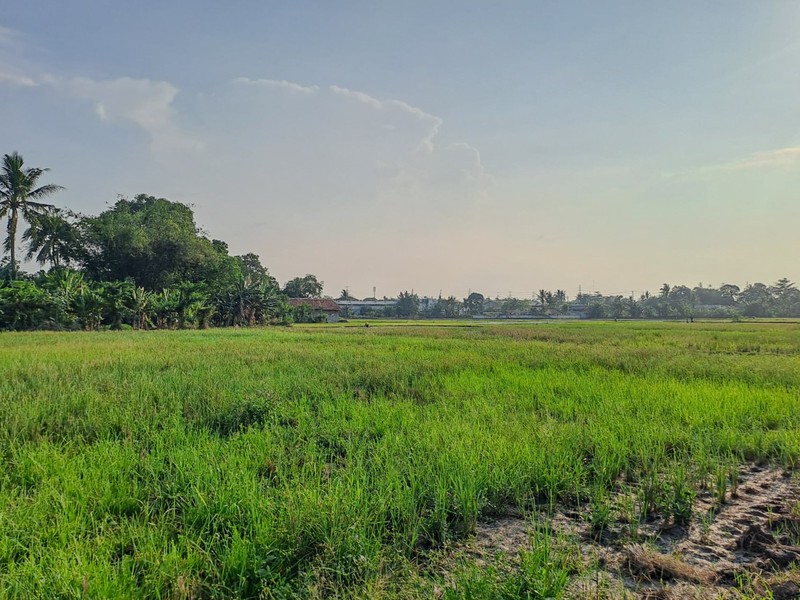 Tanah Strategis di Serang Banten dekat Kawasan Industri Balaraja