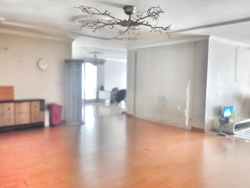 Rumah Mewah Klasik di Radio Dalam Kebayoran Baru