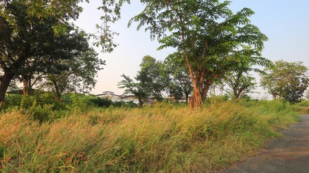 Tanah Luas di Tipar Cakung dekat Kelapa Gading Cakung JGC Marunda