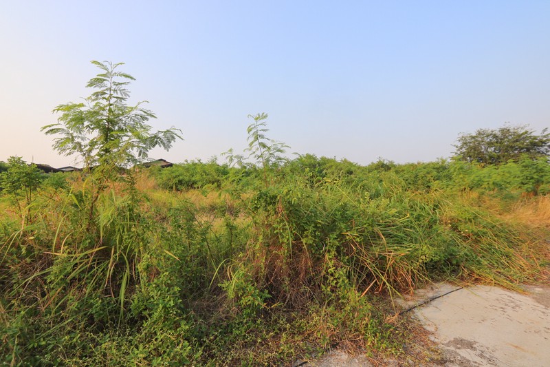 Tanah Luas di Tipar Cakung dekat Kelapa Gading Cakung JGC Marunda