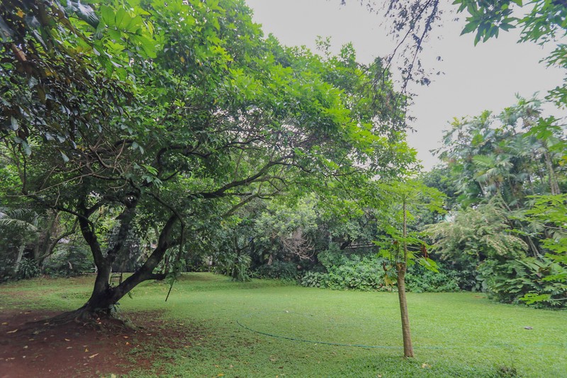 Rumah Mewah & Luas di Kawasan Andara Cilandak dekat Pondok Indah