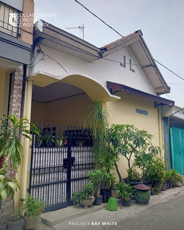 Jual Rumah Siwalankerto Surabaya Selatan Lokasi Strategis Dekat Tol Waru, Dekat Jalur Utama Ahmad Yani, Dekat Terminal Bungurasih Surabaya, Dekat Jalur Utama Kota. Tentunya Kawasan Bebas Banjir 