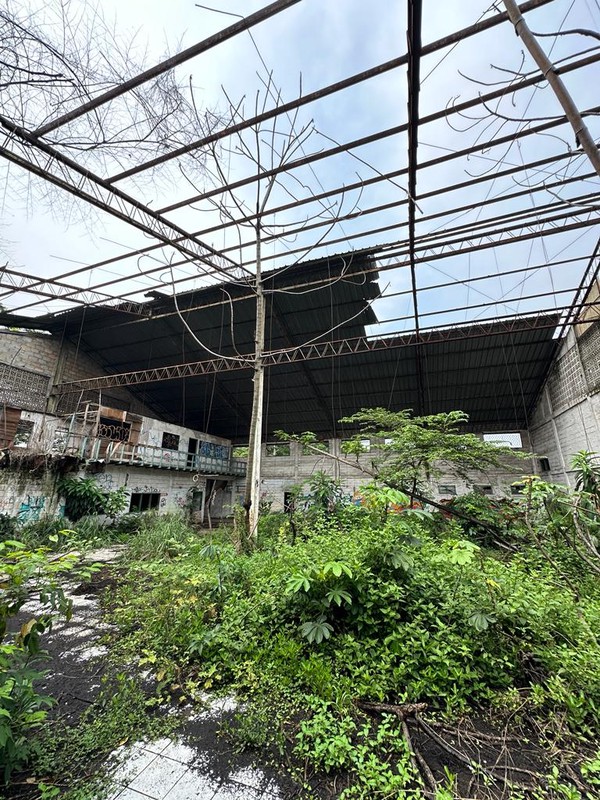 Dijual MURAH CEPAT Tanah Jl. Raya Ciater Serpong BSD - Tangerang Selatan