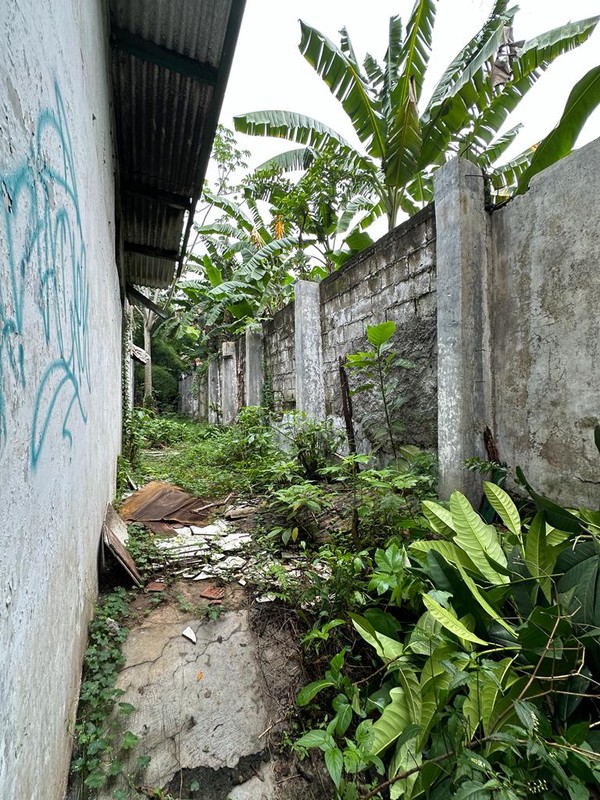 Dijual MURAH CEPAT Tanah Jl. Raya Ciater Serpong BSD - Tangerang Selatan