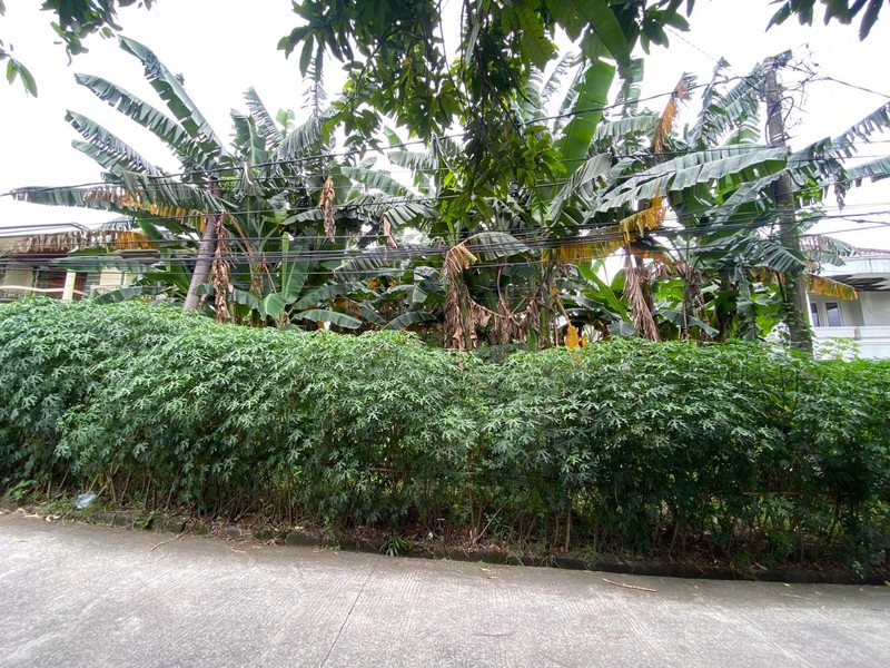 Kavling Tanah Luas di Cinere - Dalam Area Perumahan, Jalan Lebar