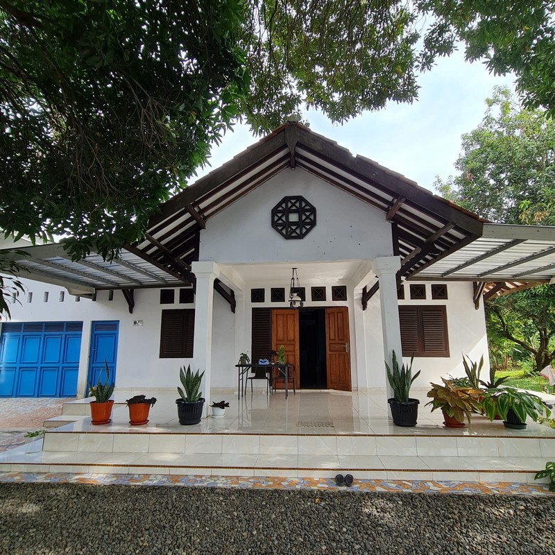 Rumah Bagus dengan Luas 2250 m2 dan Bangunan 700 m2 di Tegal, Jateng