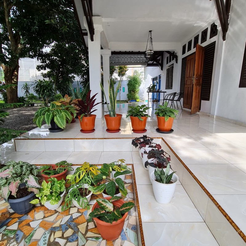 Rumah Bagus dengan Luas 2250 m2 dan Bangunan 700 m2 di Tegal, Jateng