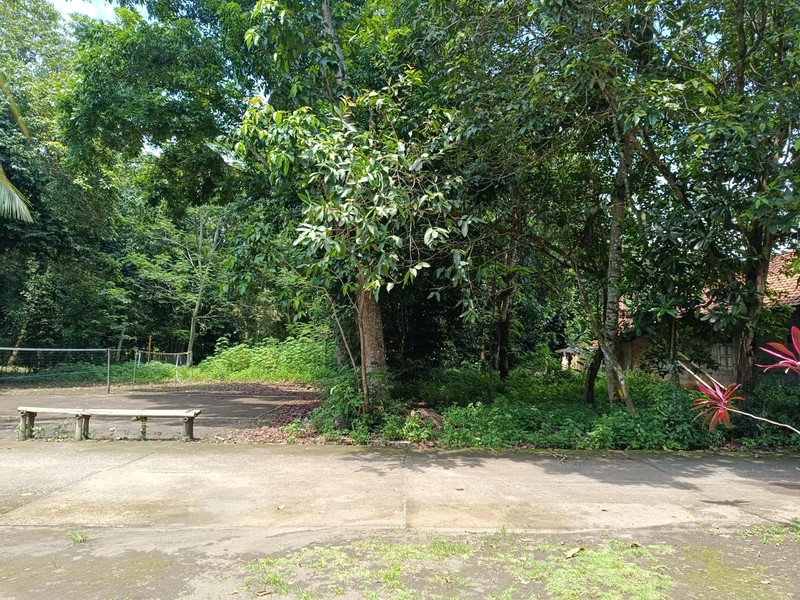 Dijual Tanah Pekarangan Strategis di Dekat Jalan Daendles 