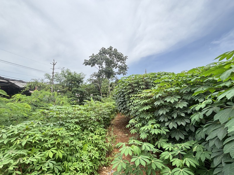 Lahan Komersial dan Industri  Luas 3.751m2 di Tapos Depok