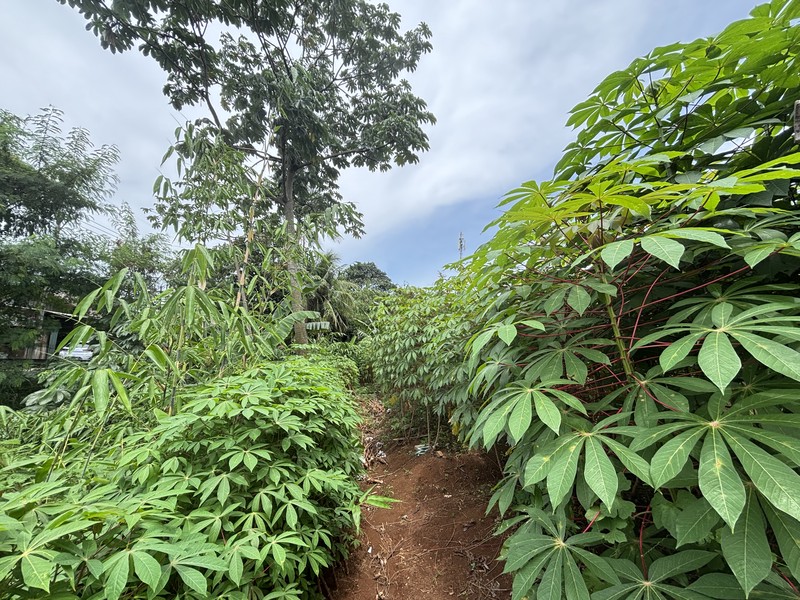 Lahan Komersial dan Industri  Luas 3.751m2 di Tapos Depok