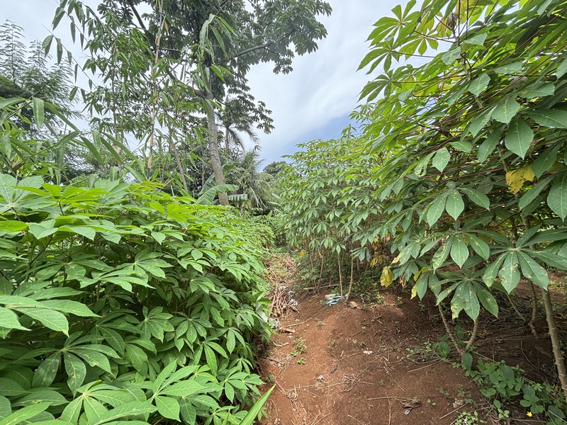 Lahan Komersial dan Industri  Luas 3.751m2 di Tapos Depok