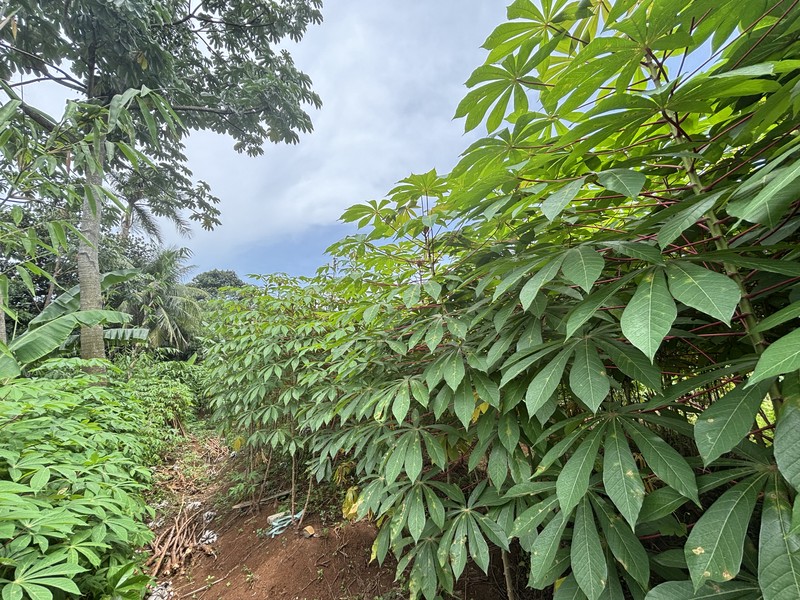 Lahan Komersial dan Industri  Luas 3.751m2 di Tapos Depok